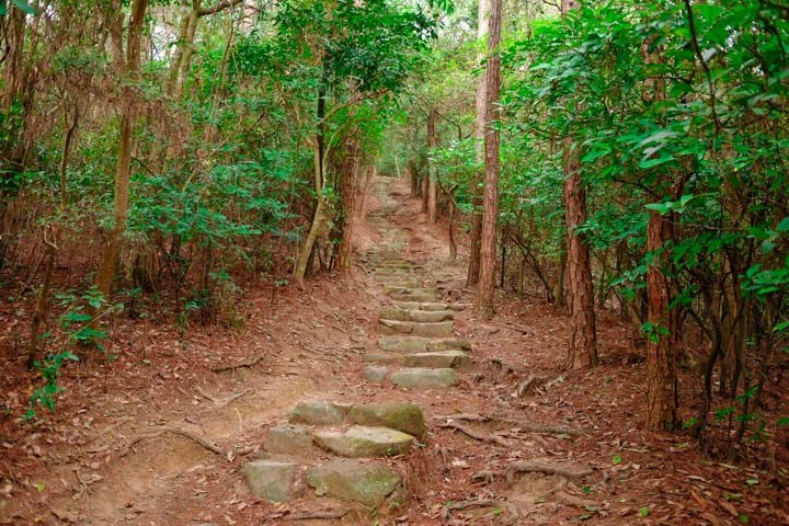 Lots of steps during the ascent of Sunset Peak.